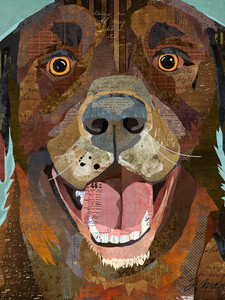 Collage Chocolate Lab