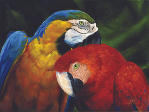 Parrots​
