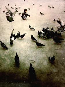 Pigeons Playground - Istanbul