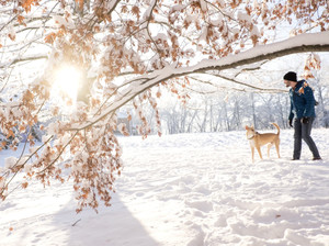 Man's Best Friend