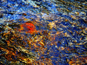 Urban Oasis - Starry Night #2