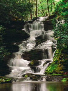 Serenity​​​​​​​​​​​​​​​​