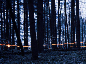 Guided By the Lantern's Light