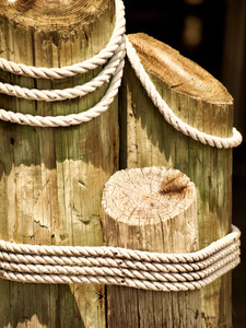 Dock Pilings
