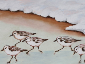 Shorebirds