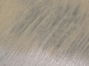 Sands of OCeanside #14