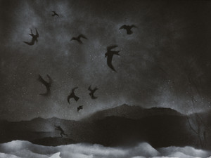 The Terns and the Guilty Wanderer