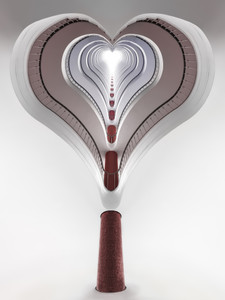 Heart​​