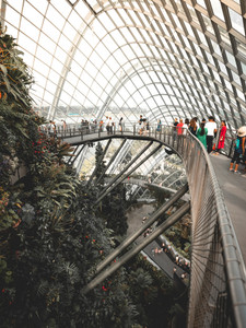 Singapore 10
