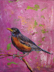 American Robin #4
