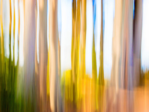 Abstract Moving Trees Warm Gold Tan