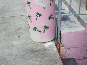 Tropical Trash