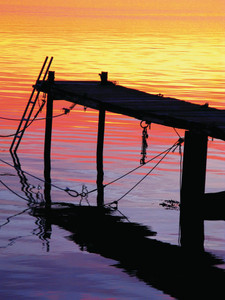The Dock