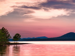 Sailor's Delight