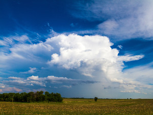 Blue Sky​