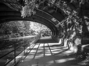A Walk In The Park​​​