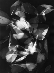 Press_Them_Flowers_05