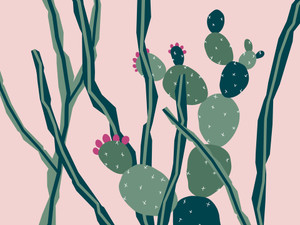 Cactus​​​​​