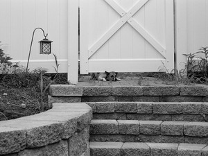 In Under the Out Door