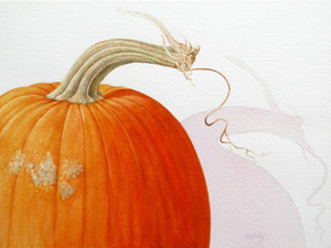 Pumpkin Stem VI