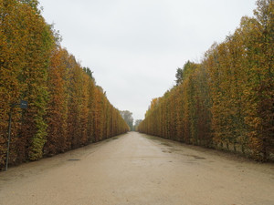 Versailles in Autumn