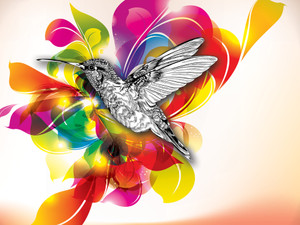 Flights of Color