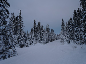 Monts-Valin