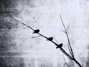 Tripartite