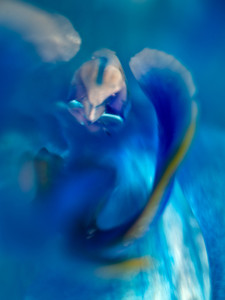 Holy Ghost