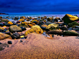 A View from the Beach​