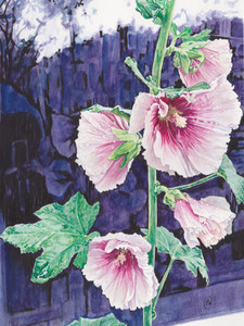 Amsterdam Hollyhocks #3