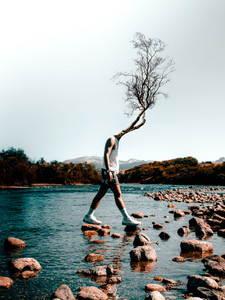 Walk of Growth