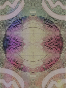 Cactus/Compass