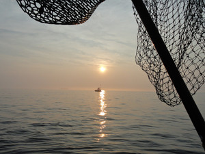 Block Island Sound's Catch Of The Evening
