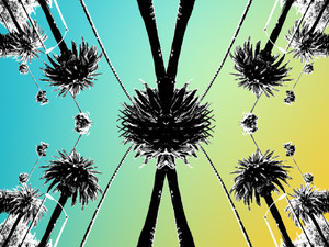 Abstract Palms