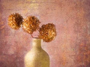Hydrangeas In Vase