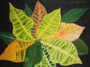 Croton Leaves