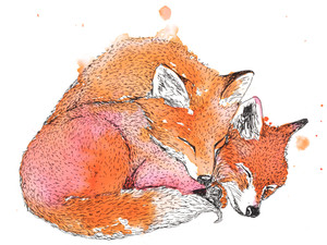 Sleeping Fox Pair