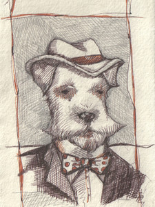 Mr. Terrier