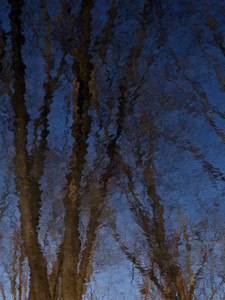 Winter's Morn