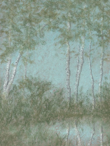 Terra Temporalis Redux, XXIX