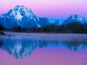 Morning in Teton #1