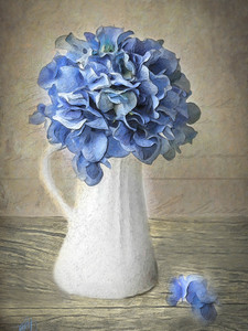 Hydrangea In Vase​