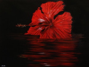 Hibiscus​​​​​​