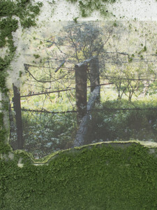 Topographical