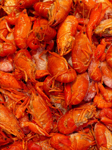 Glorious Food III