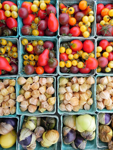 Farmers Market