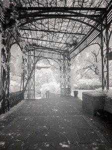 Leaving the Pergola
