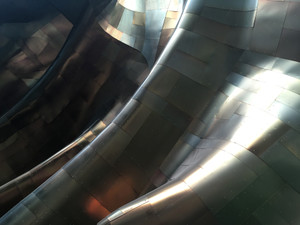 Nonlinear Solidity