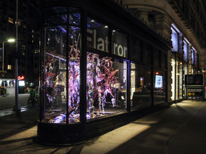 City Lights Series: Flatiron Building